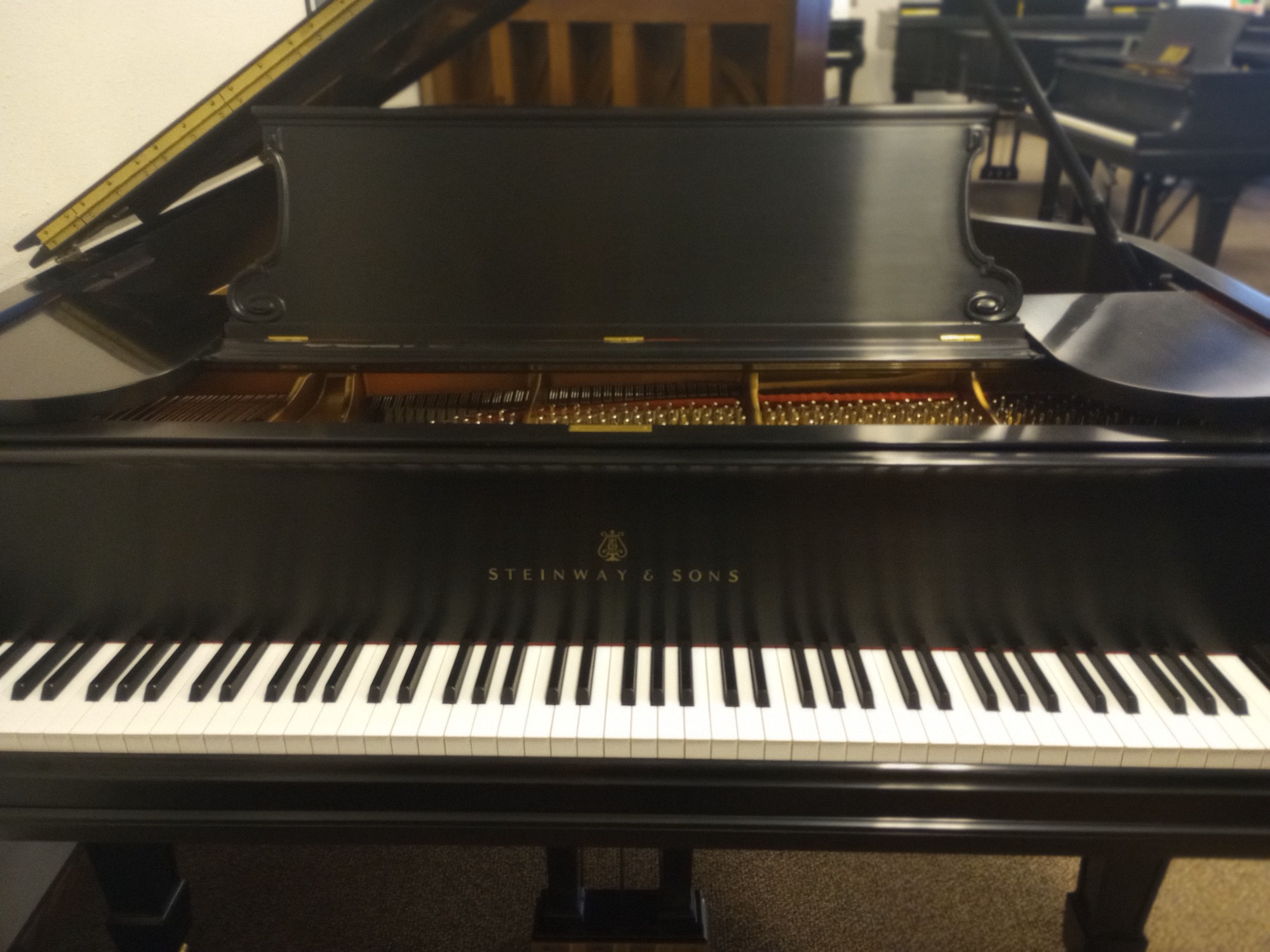 1905 Steinway \u0026 Sons Model D | Salun1905 Steinway \u0026 Sons Model D | Salun  