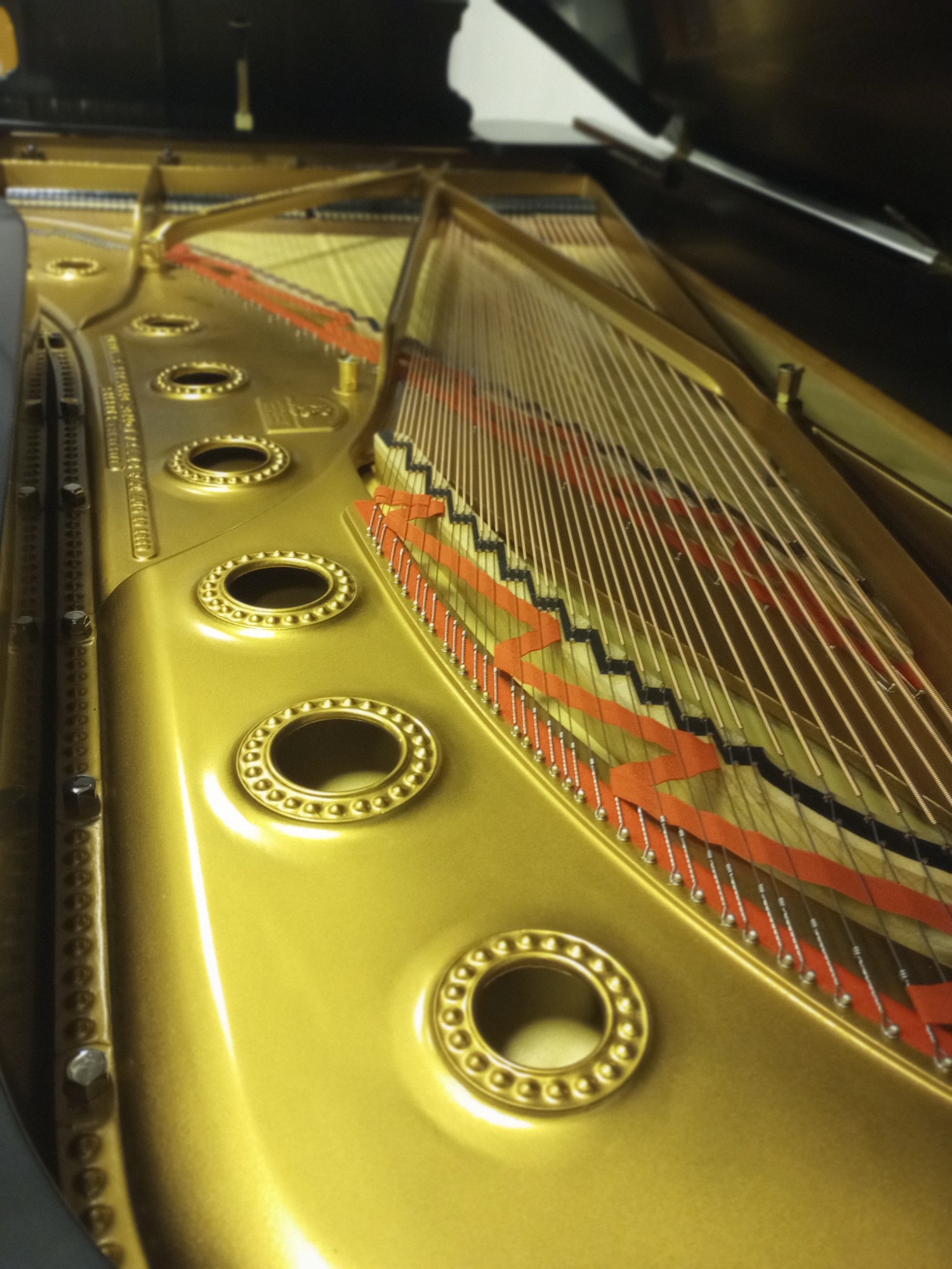 1905 Steinway & Sons Model D | Salon Piano Series | Madison, WI